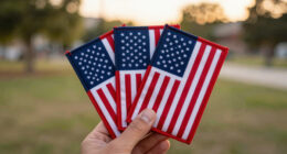 6 Best Independence Day Patriotic Trading Card Sleeves in 2026